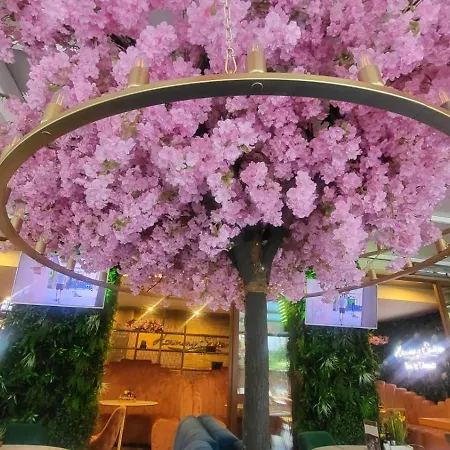 Appartamento Palma In Harmony 2,3 *