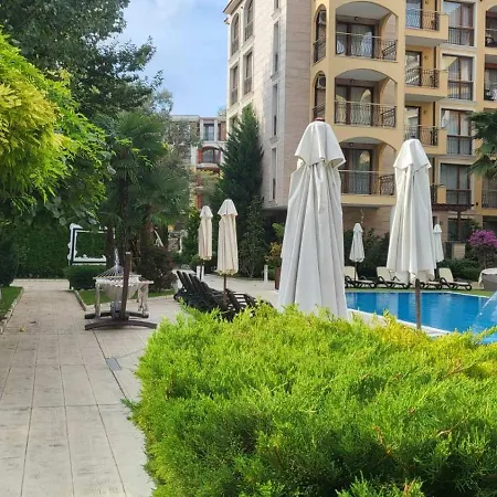 Palma In Harmony 2,3