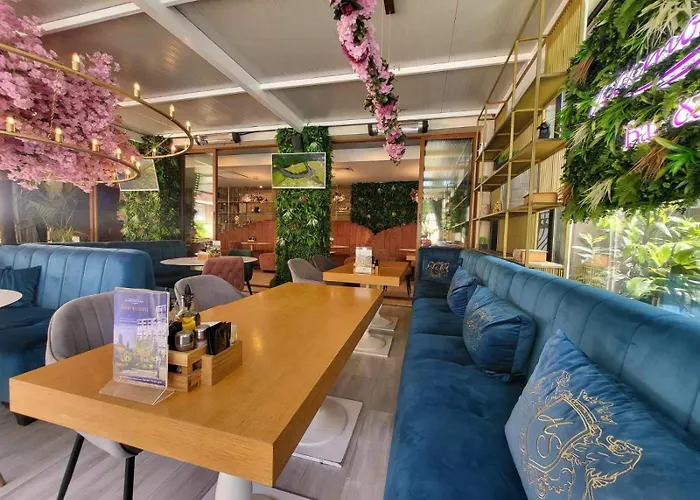 Palma In Harmony 2,3