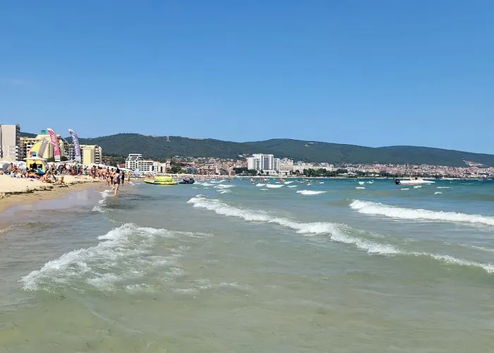 Palma In Harmony 2,3