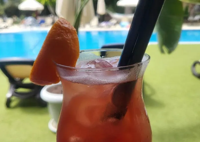 Palma In Harmony 2,3